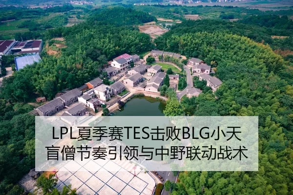 LPL夏季赛TES击败BLG小天盲僧节奏引领与中野联动战术